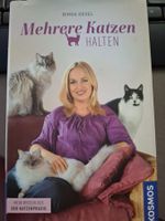 Ratgeber: Mehrere Katzen halten