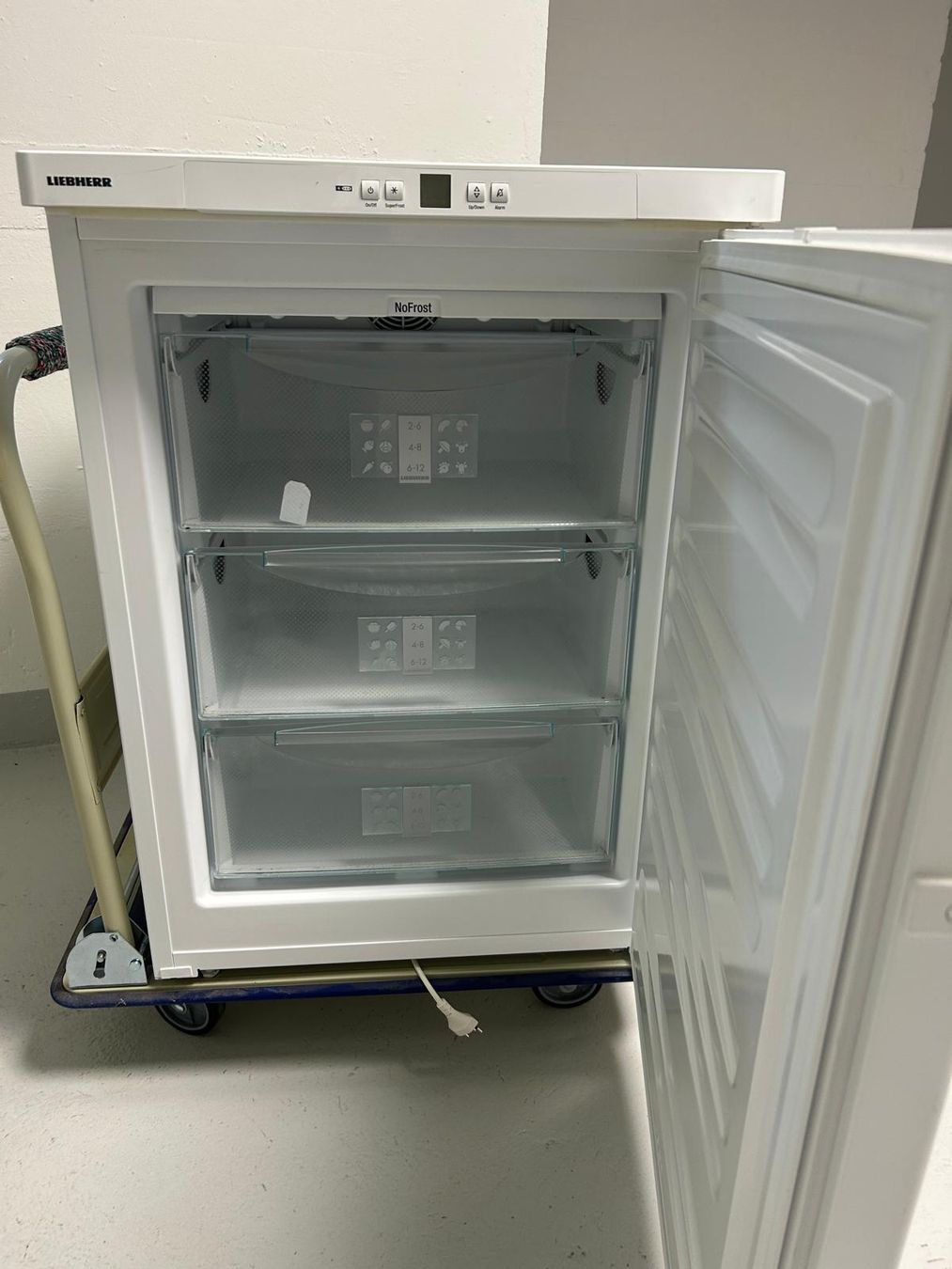 Congelatori: tiefkühlschrank liebherr – Usato da Basel venduto da faz_hdd8 4