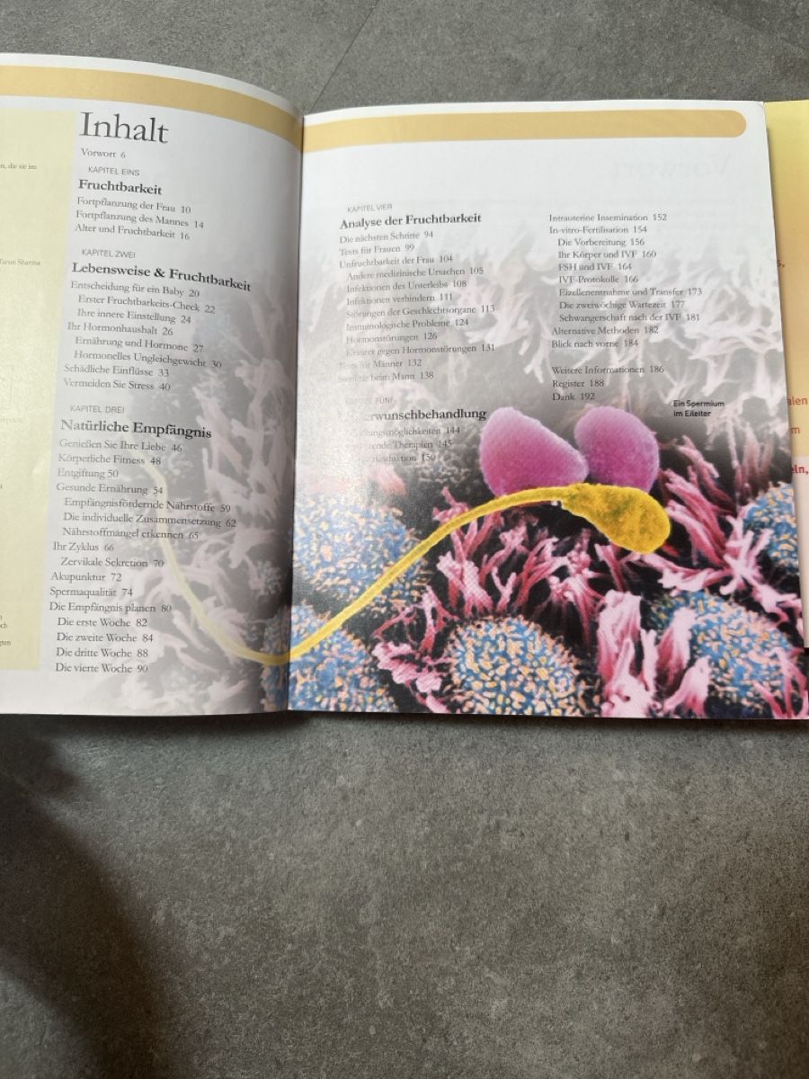 Libri: 2 Ratgeber Kinderwunsch, Fruchtbarkeit – Usato da Flanthey venduto da ale_xandra 2