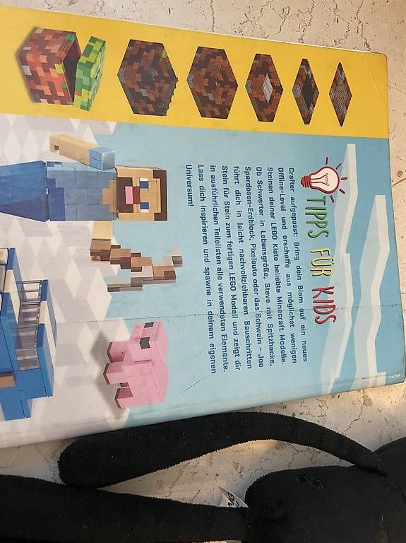 Giocattoli: Minekraft Set, Legobuch, Anderman , Tuch – Usato da Uster venduto da chlini1983 4
