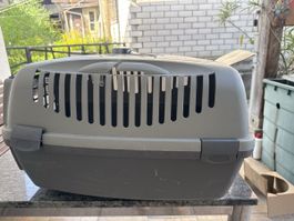 Hunde und Katzen transportieren 