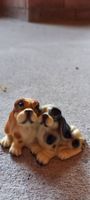 Verliebte Hunde