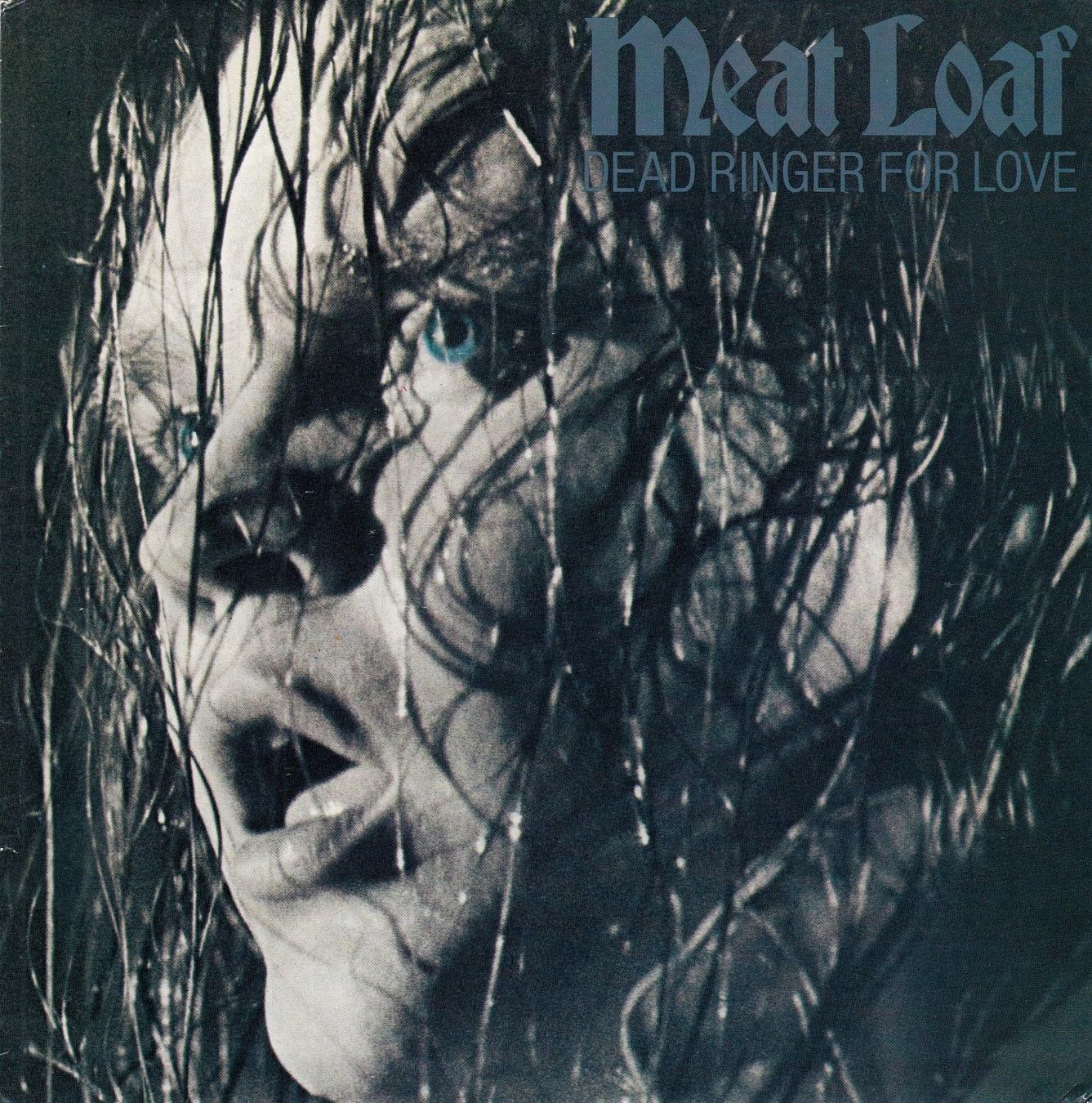 Dischi in vinile: Meat Loaf Vinyl Single von 1981 – Usato da Volketswil venduto da Abcrecords