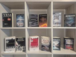 Isländische und Finnische Thriller