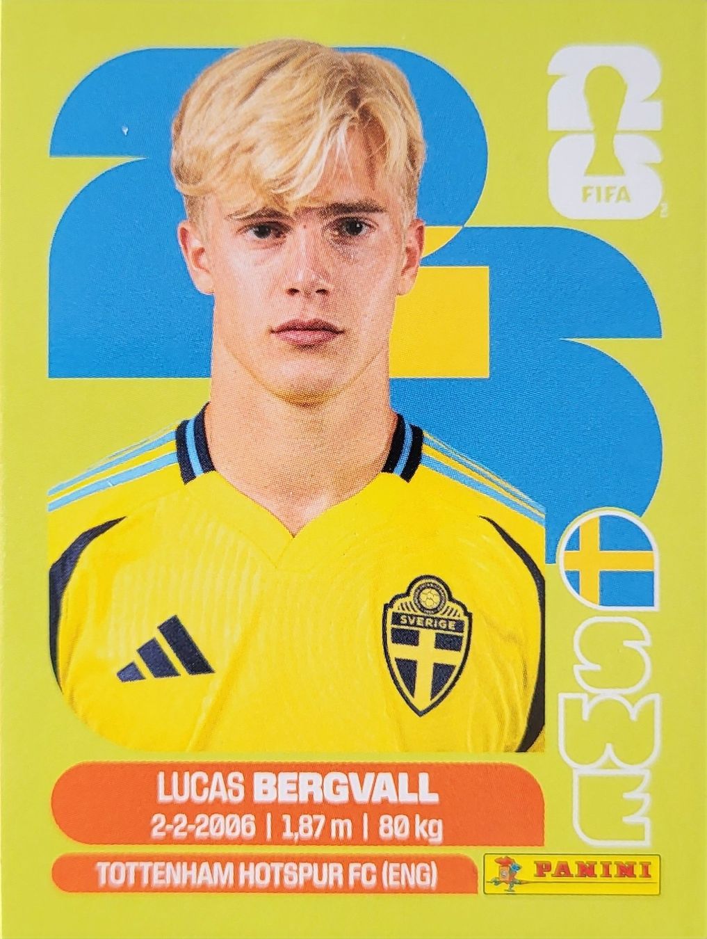 Panini Cartes à collectionner: Panini FIFA World Cup SWE 8 – D'occasion à Wallisellen par never_give_up