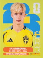 Panini FIFA World Cup SWE 8