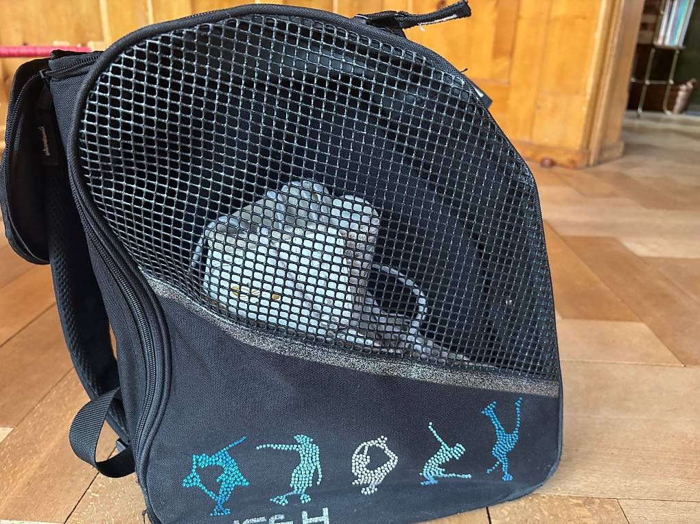 Rucksäcke: Eislauf Tasche/Rucksack schwarz gebraucht – Gebraucht aus Thun von Lupinmela 3