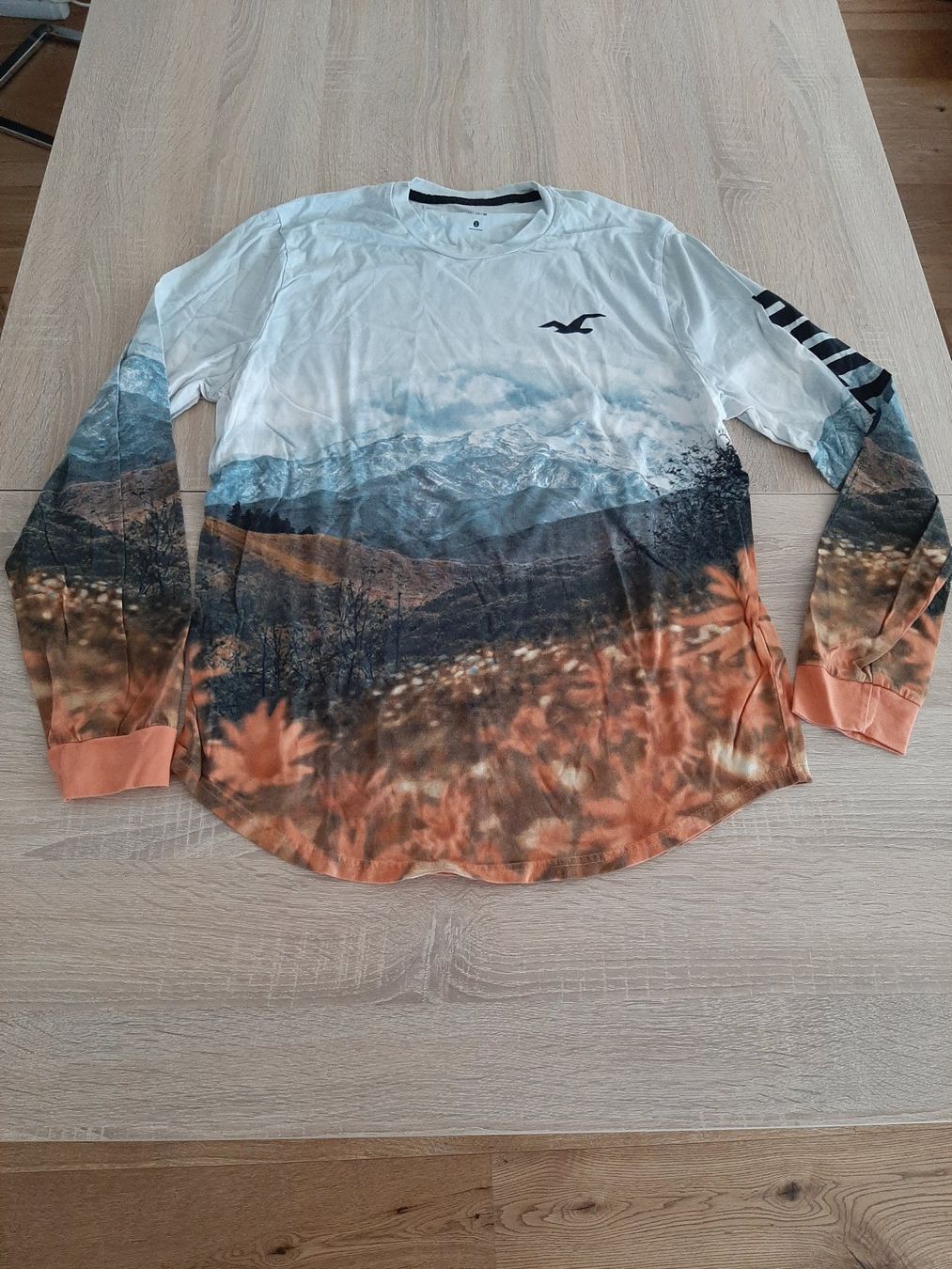 Hollister Maglioni & Felpe: Hollister Sweater Gr. L bunt – Usato da Menziken venduto da Rien1