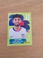 Panini Fifa USA18