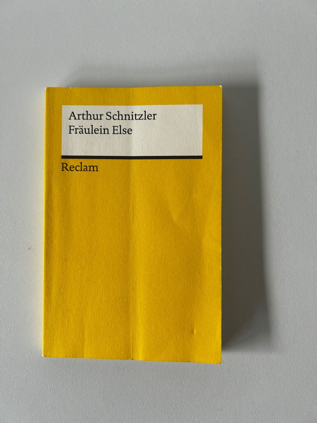Libri: Arthur Schnitzler Fräulein Else – Usato da Zürich venduto da fritzbachmann