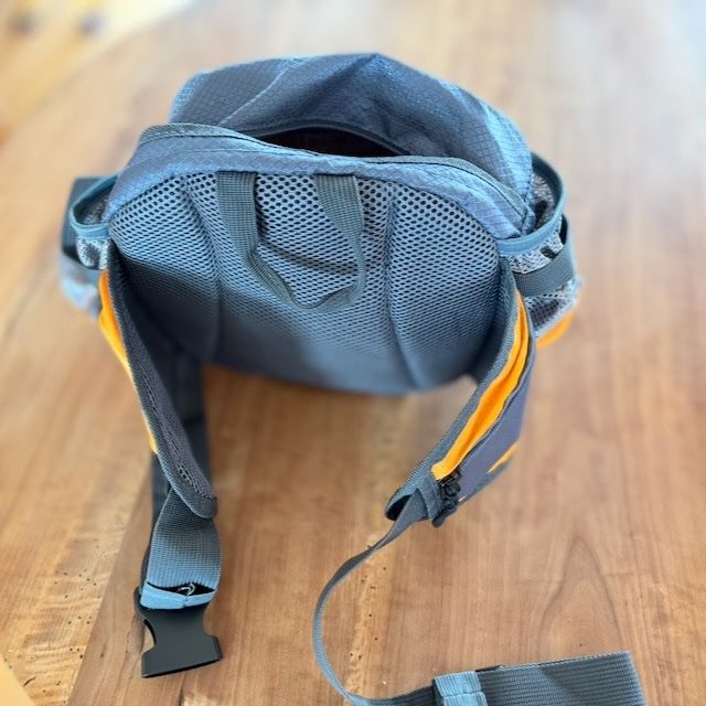 Taschen: XL Bauchtasche mit Extras, Rucksackersatz – Gebraucht aus Winterthur von ing_pd8f 1