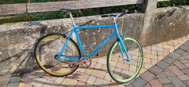 Fixie Singlespeed von TOTEM farbig