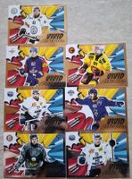 Sportzoo National League hockey 25/26 Vivid Artworks