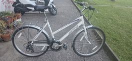 Leopard Damen Velo