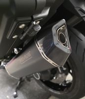 Remus Black Hawk Auspuff BMW K1600 Carbon