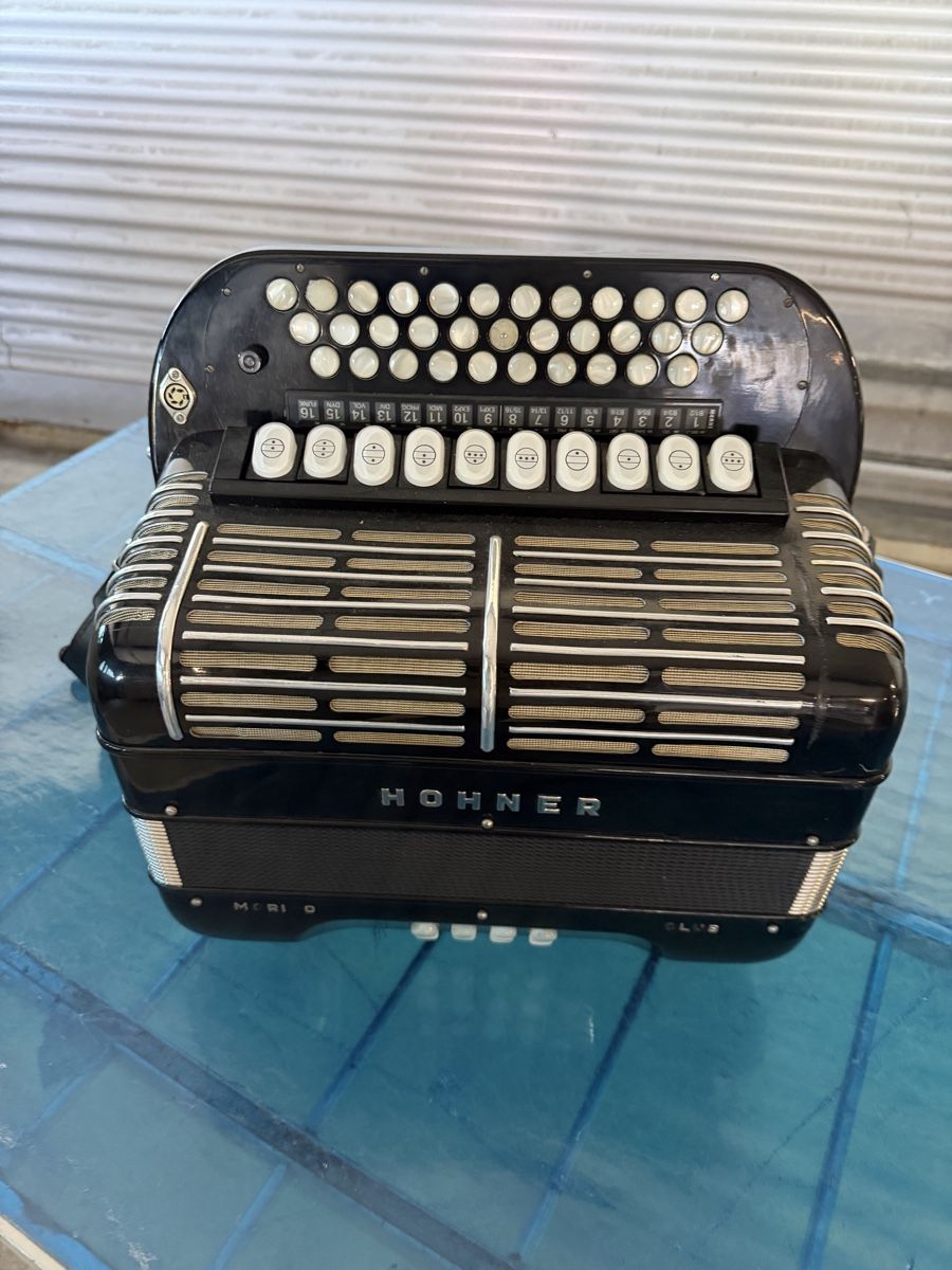 Hohner Strumenti musicali: Hohner morino Club – Usato da Muhen venduto da MiGeiss64