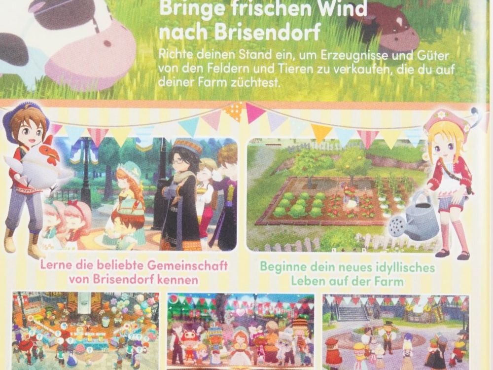 Nintendo Giochi: Grand Bazaar Nintendo Switch – Nuovo (secondo la descrizione) da Wil SG venduto da froschbiss 2