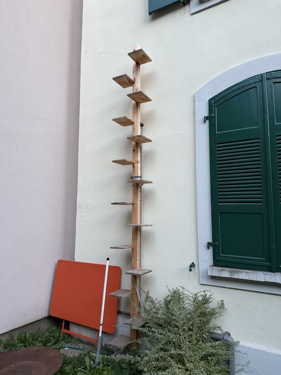 Scale: Katzenleiter 3,8m Holz – Usato da Bern venduto da leo_7xzq