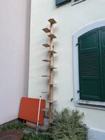 Katzenleiter 3,8m Holz