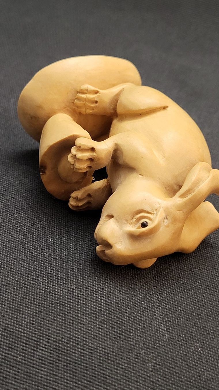 Statuette: Holz-Kaninchen NETSUKE – Usato da Basel venduto da spinne02 7