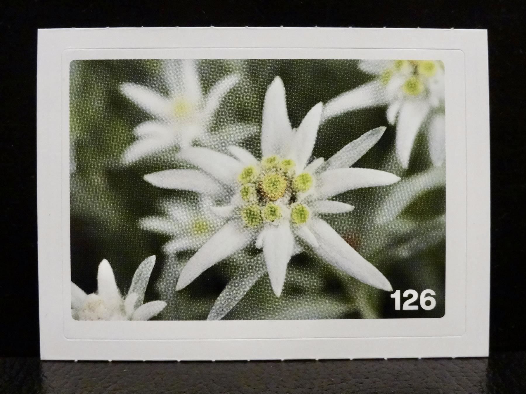 Migros Carte collezionabili: MIGROS MANIA Nature Detectives Nr. 126 – Nuovo e nell'imballaggio originale da Kerzers venduto da zimmergruen