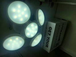 Dynamo Polyon Lampe als Solar oder an USB 220V zu laden