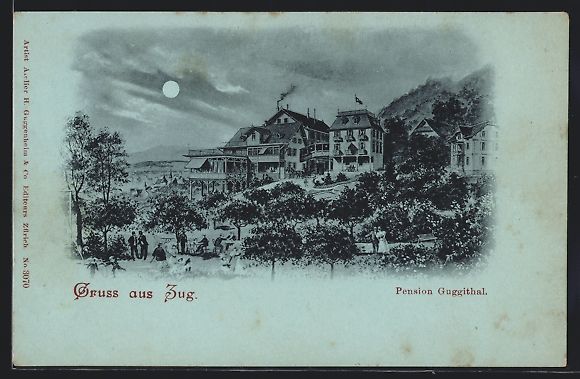 Cartoline postali: Mondschein-AK Zug, Pension Guggithal mit – Usato da Berlin venduto da bartko-reher