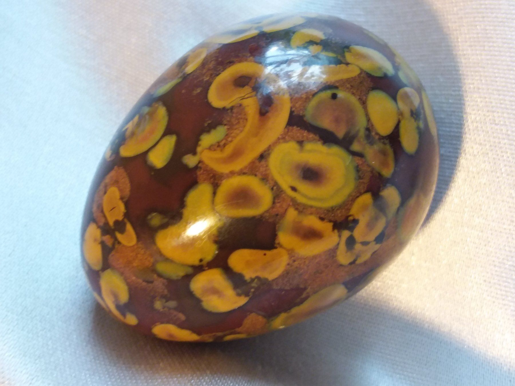 Fossili: Fossiles Korallen Ei, Jasper, Mineral – Usato da Zürich venduto da helsan 3