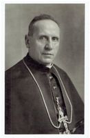 Laurentius Mathias Vincenz, Bischof von Chur, 1932 - 1941