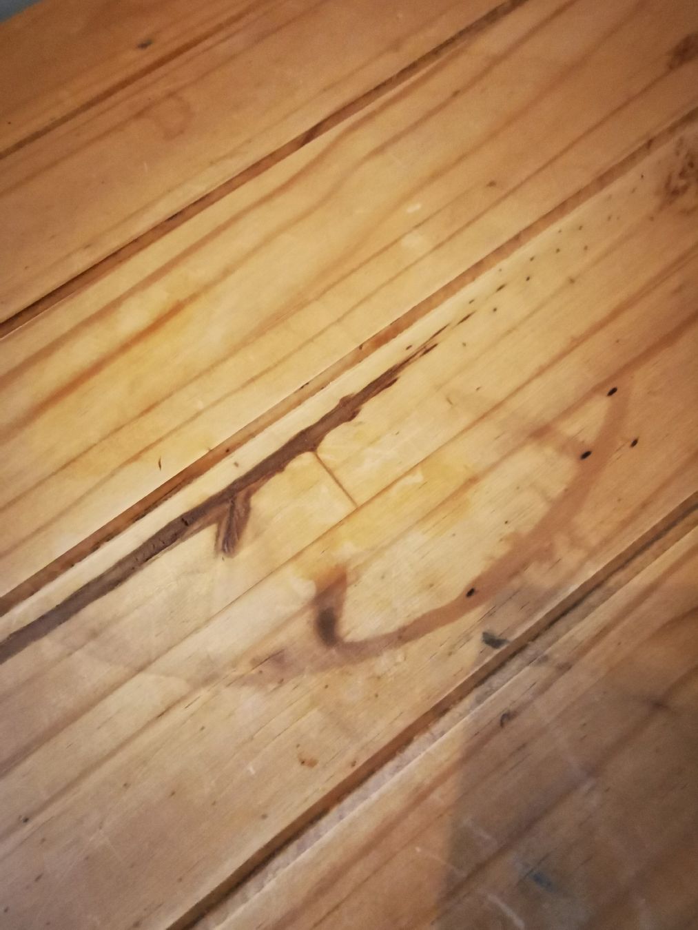 Cassapanche: Holztruhe – Usato da Arbon venduto da Sunna1 4