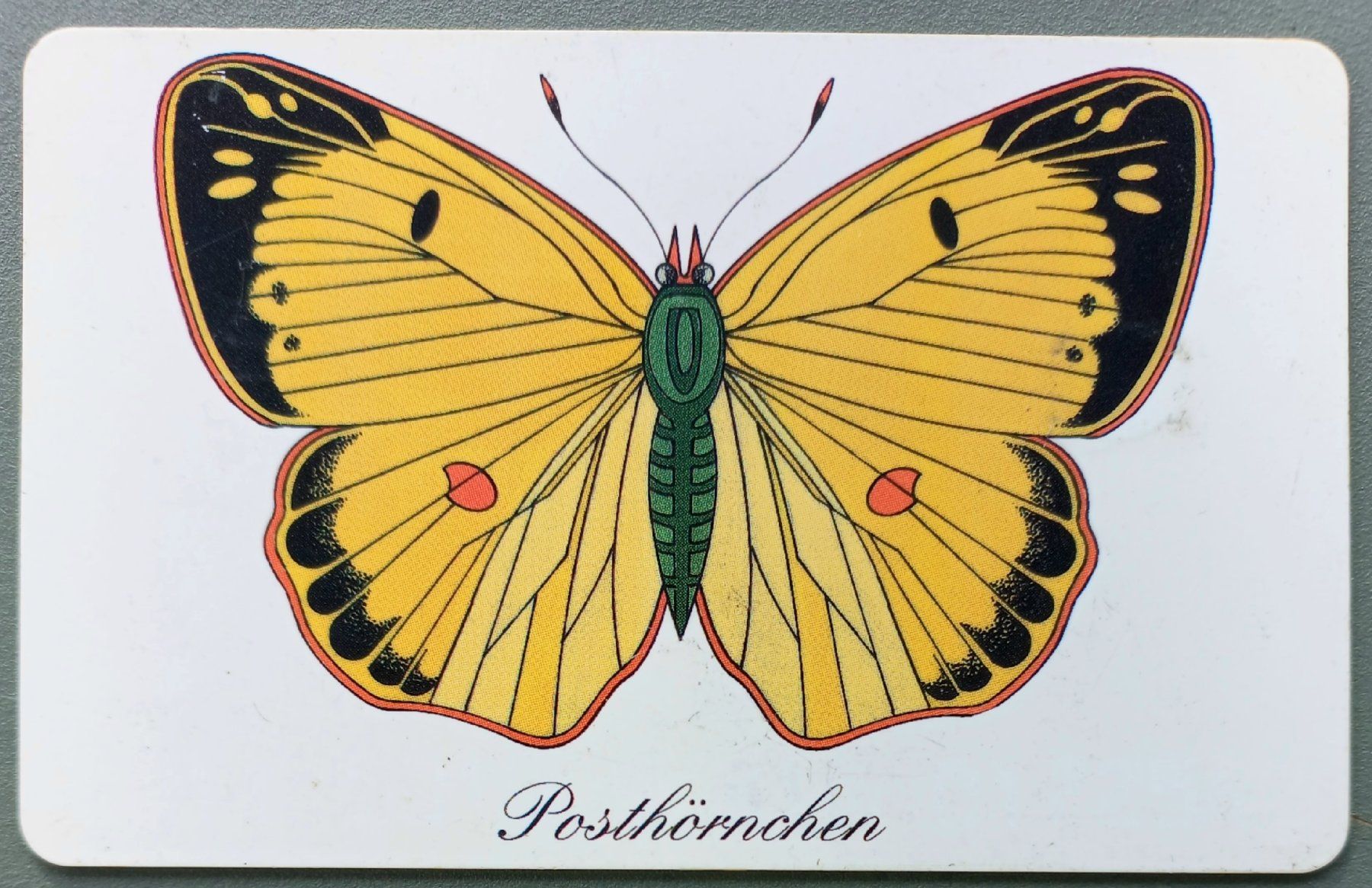 Cartes de téléphone: Taxcard - Posthörnchen - D – D'occasion à Niederuzwil par lubimaja