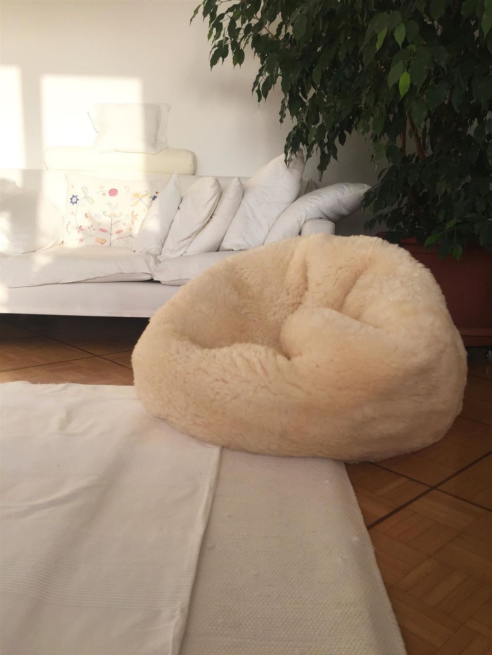 Poltrone: Lammfell Sitzsack White – Nuovo e nell'imballaggio originale da Arbedo venduto da patagonialeatherrugs 3