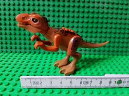 Dinosaurier - T-Rex