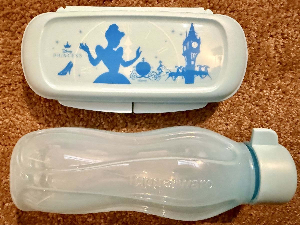 Tupperware Contenitori & Simili: Tupperware Disney Dornröschen Box und Trinkflasche Set – Nuovo e nell'imballaggio originale da Worben venduto da Teddy112