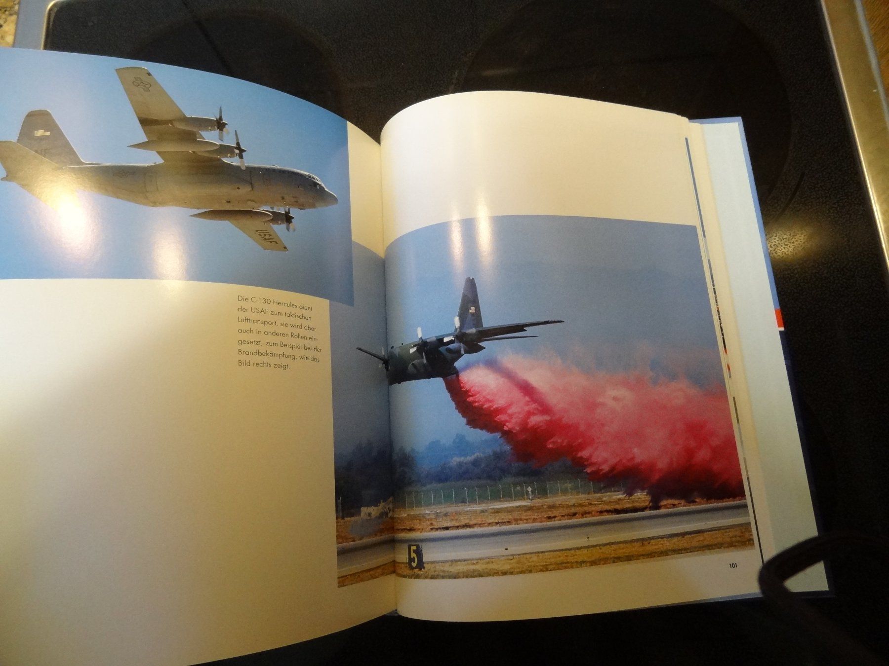 Libri: American Eagles Buch neuwertig – Usato da Bennau venduto da brummel03 6