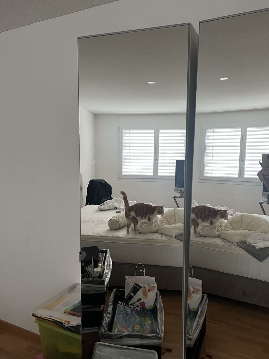 Armoires: Spiegelschrank noch bi Mittwoch – D'occasion à Bremgarten b. Bern par ABalli 2