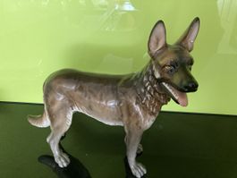 Schäferhund Figur Porzellan braun stehend guter Zustand
