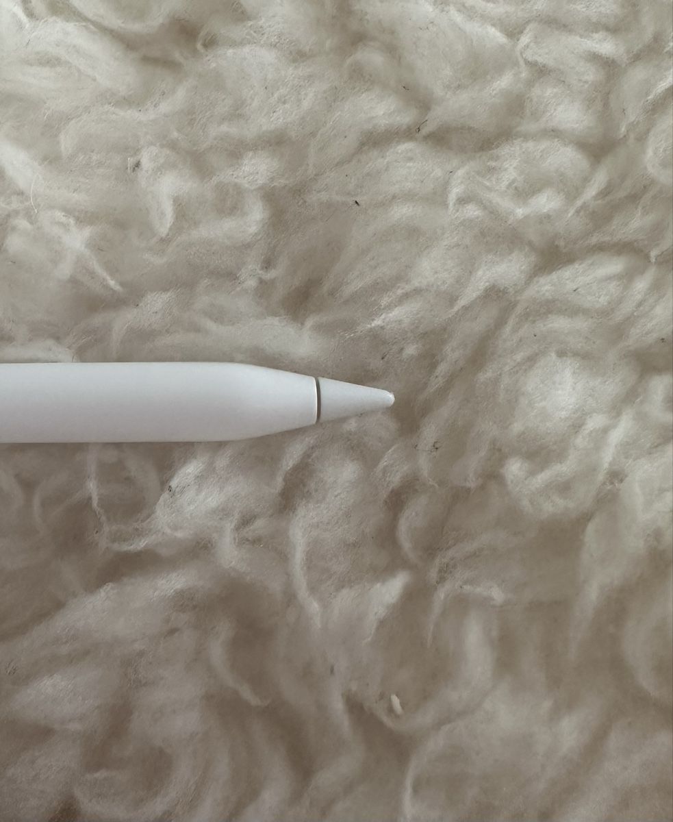 Apple Penna & Evidenziatori: Apple Pencil (2 Generation) – Usato da Winkel venduto da Sommerbrise10 3