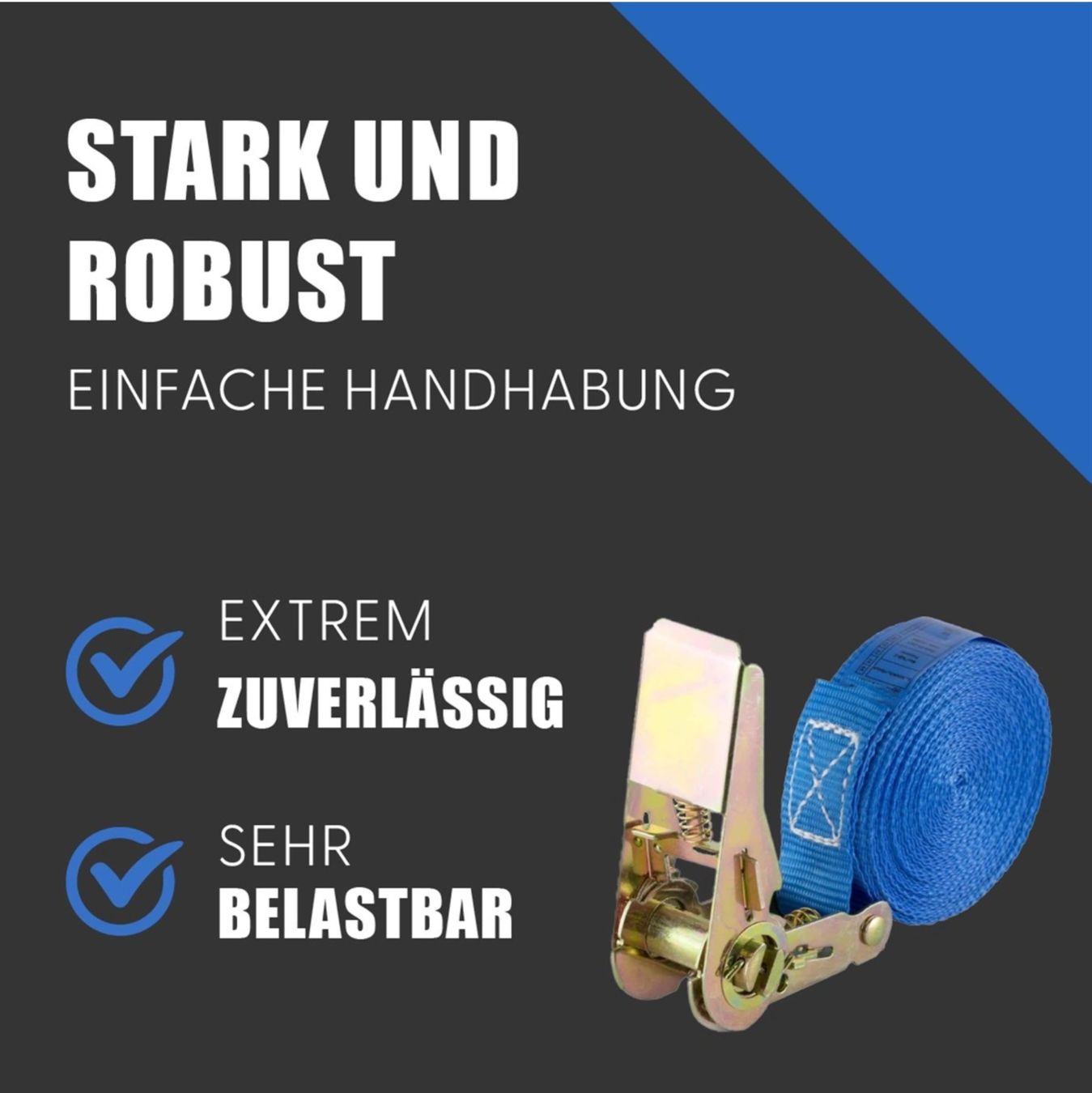 Tutti gli attrezzi: Spanngurt 800 kg 25 mm x 6 m einteilig blau – Nuovo e nell'imballaggio originale da Bülach venduto da StoreInShop.com 5