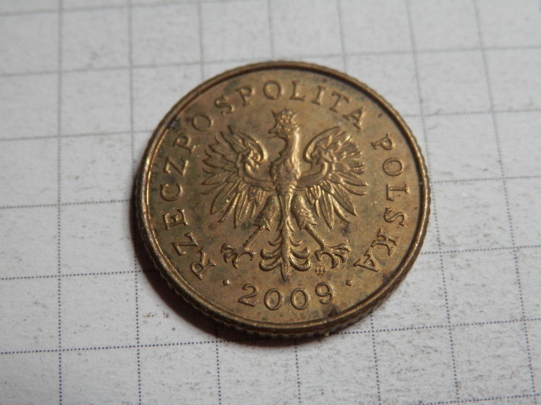 Tutti le monete: Polen 1 Grosz, 2009 – Usato da Weiach venduto da weiach81 1