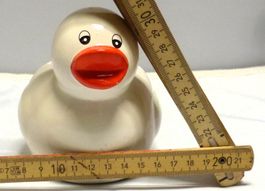 Enten-Blumentöpfchen