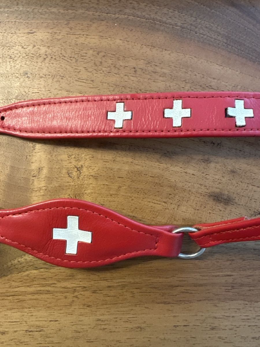Guinzagli & Collari: Hundehalsband – Usato da S. Antonino venduto da Swissbutler 1