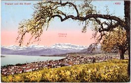 THALWIL und die Alpen (im Sommer) ca. 1915 (ZH)