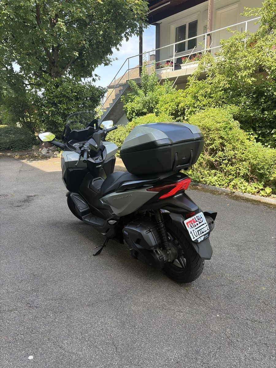 Honda Scooter: Honda NSS Forza 125 mit Topcase – Usato da Zürich venduto da mika81 1