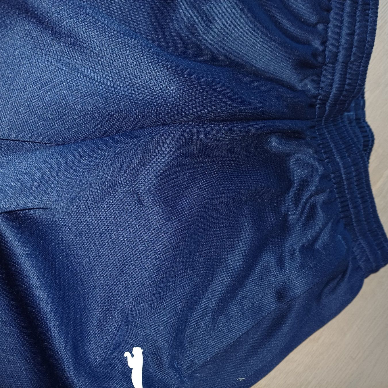 Puma Pantaloni: Puma Trainerhose, blau Gr. 152 – Usato da Wahlendorf venduto da Irba 2