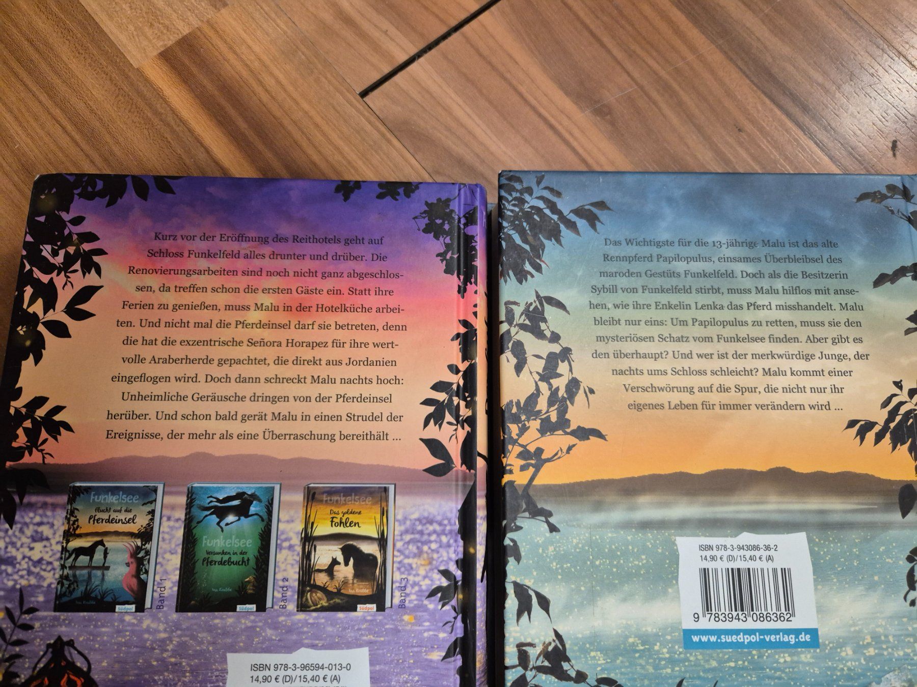 Libri: 1 buch Funkelsee oder Pferdegeschichten L20 – Usato da Schwarzenburg venduto da Flamingo07 1