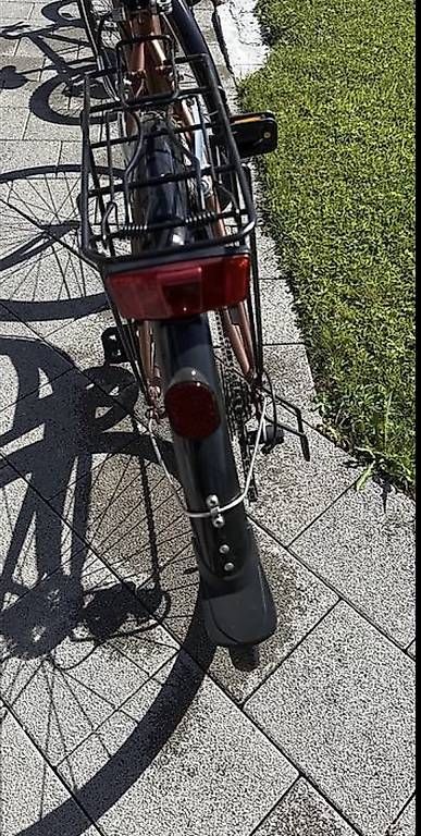 Biciclette: Damenvelo NEU (Bronze) – Usato da Mühleberg venduto da eri_r25b