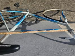 Rennvelo Banrad Pista Koka Myata