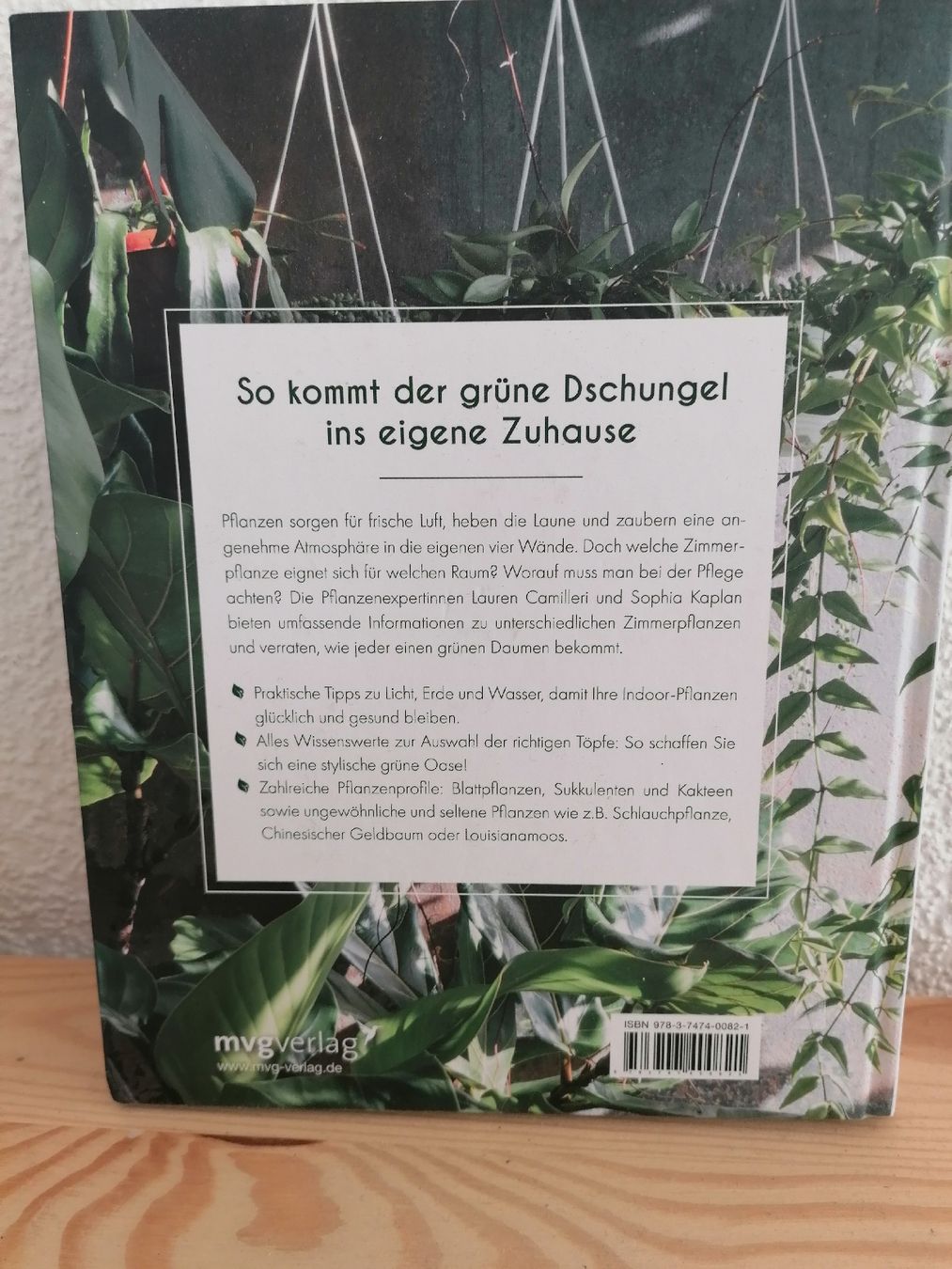 Bücher: Buch zur Zimmerpflanzenpflege – Neu (gemäss Beschreibung) aus Schönenbuch von sop_n7zd 2