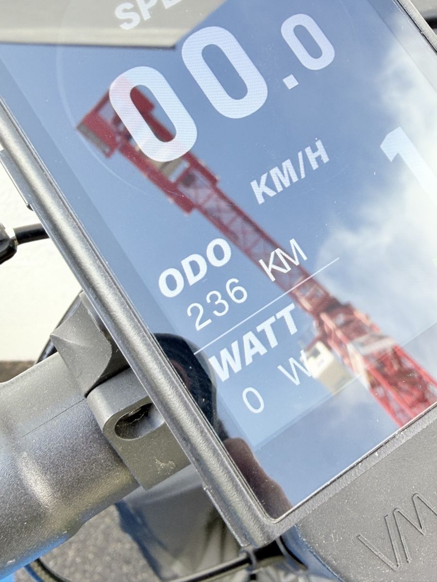 VMAX Kickboard: Vmax VX4 GT E-Scooter 500 W – Usato da Zürich venduto da Raphib 2